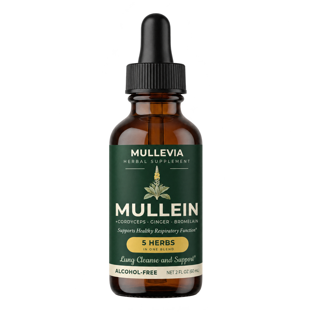 Mullevia Mullein Drops — 1 Bottle