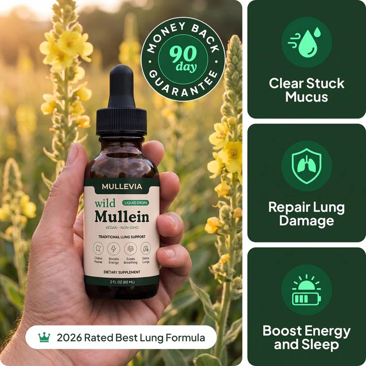 Mullevia 3-pack bundle
